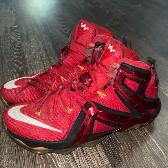 lebron xii elite